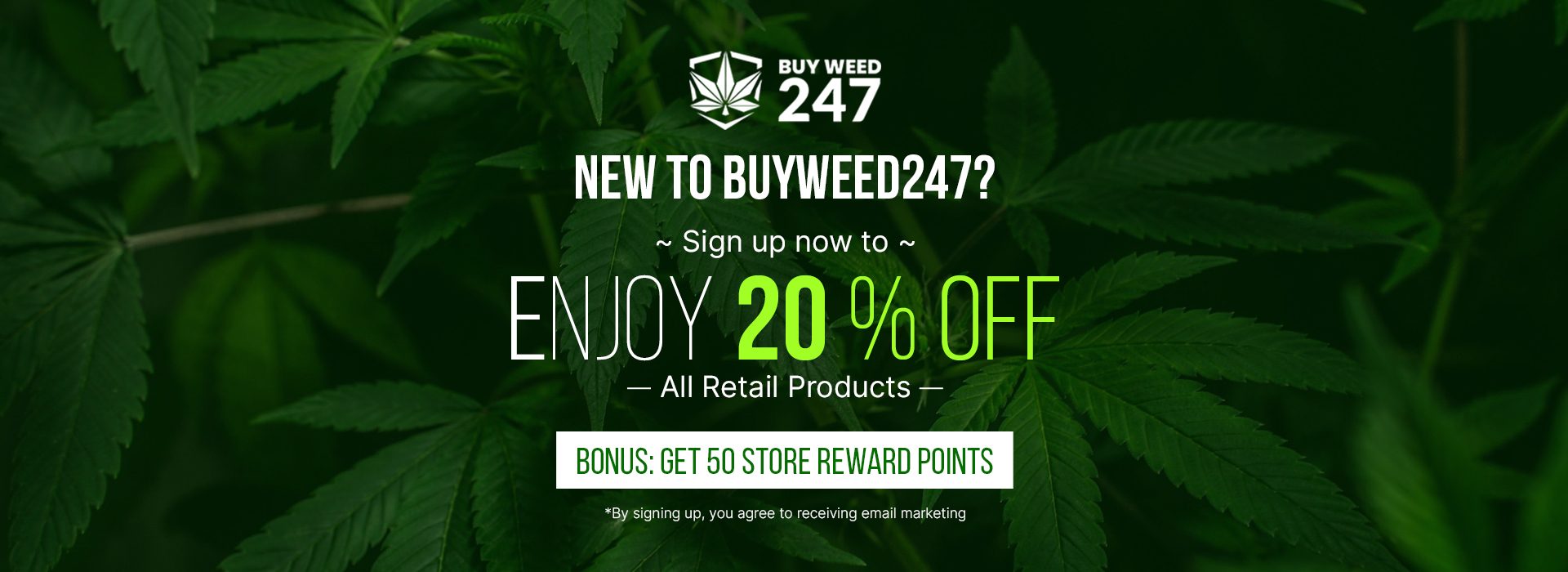 Buy Weed Online, BuyWeed247