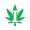Buy Weed Online, BuyWeed247